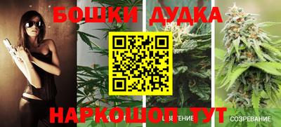 ECSTASY Нальчик